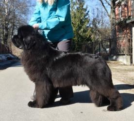 ������������